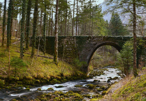 An old stone arch bridge in a forest (photograph).
